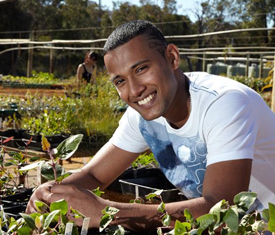 Image of person holding a plant in a nursery 