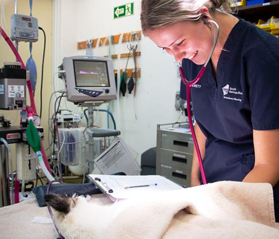 Dog on operating table with vet nurse smiling at him. 