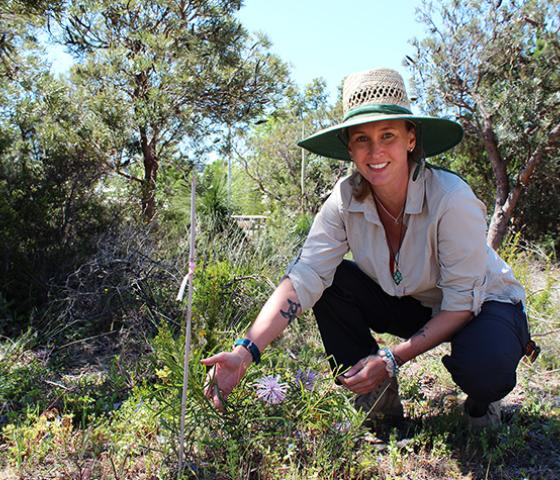 Person wearing a hat holding a plant in scrub bush 