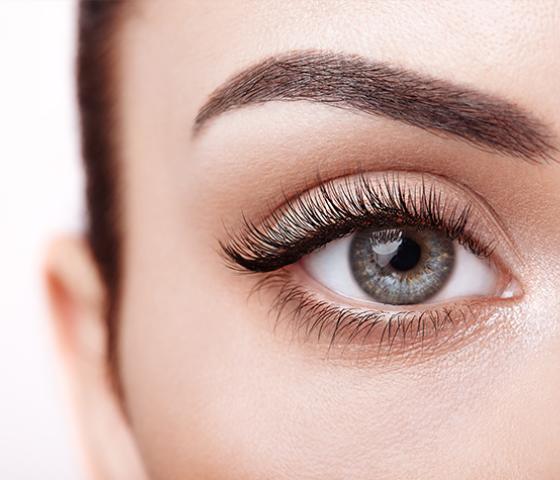 Image of lash and brow design